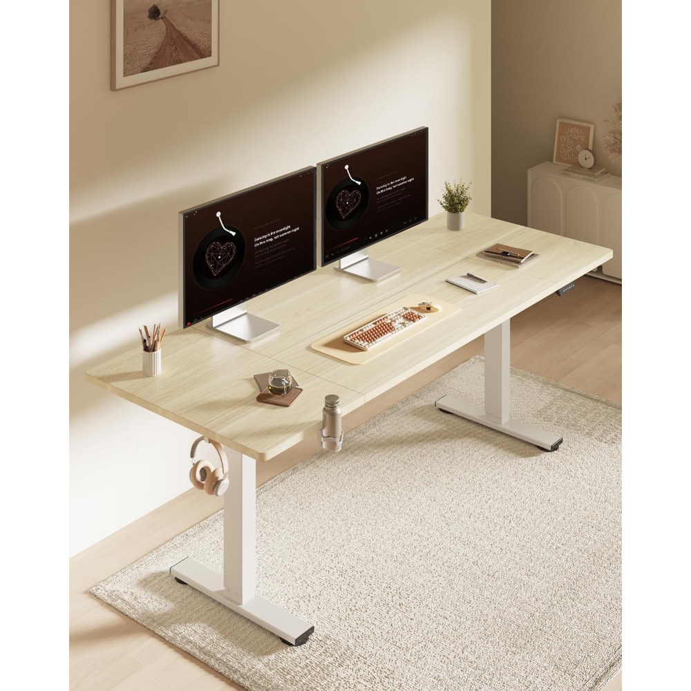 FLEXISPOT 63x32 inch elektrisc - Desk Setup Home Office recensie en prijs